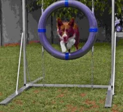 WT-Metall Safety Reifen 7 WT-Metall Safety Reifen -Katzen- Und Hundetagebuch 740036S 3