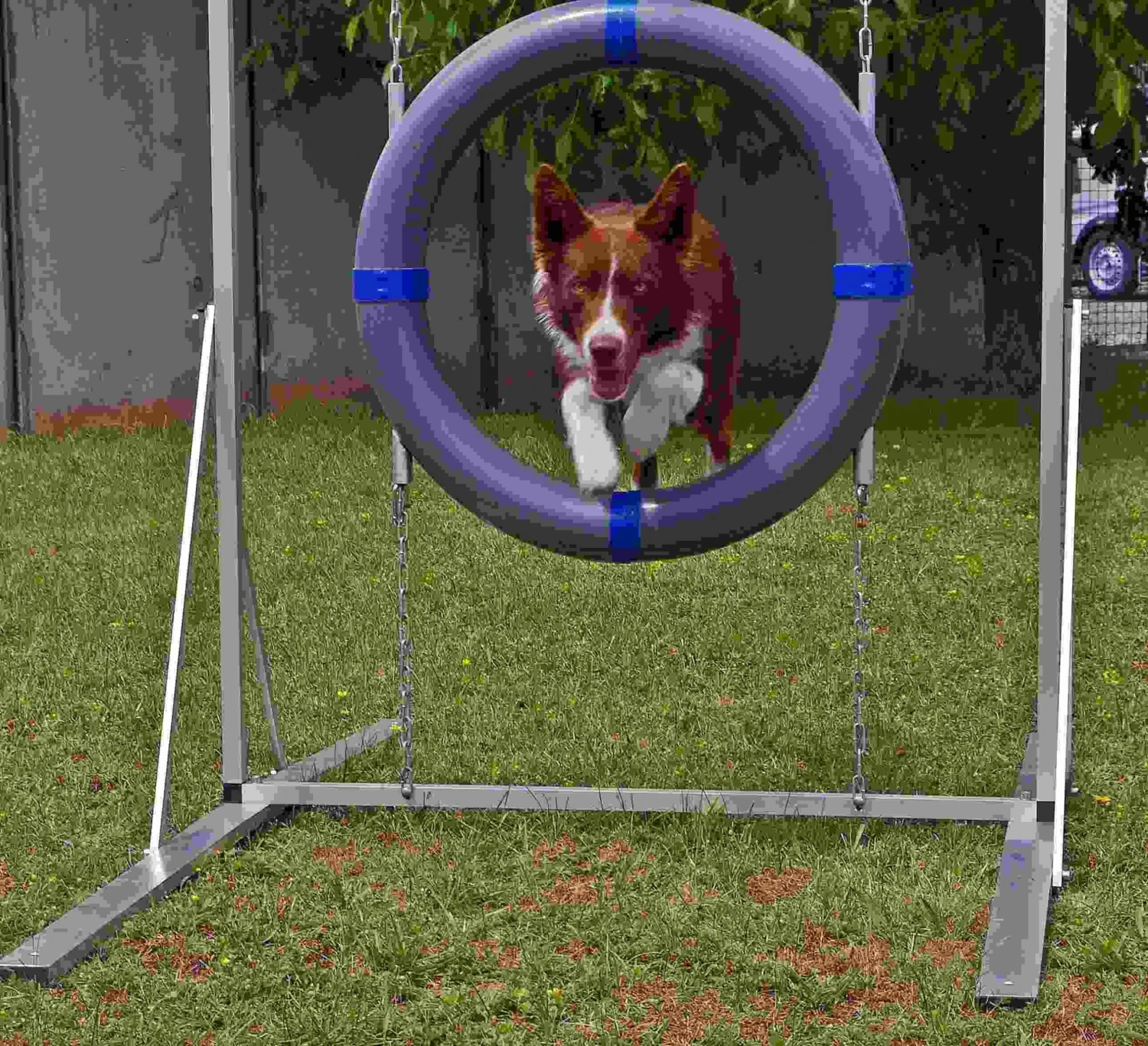 WT-Metall Safety Reifen 5 WT-Metall Safety Reifen – Bild 3