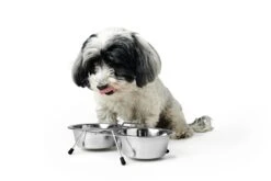 Hunter Doppel Edelstahlnapf 850 Ml 5 Hunter Doppel Edelstahlnapf 850 Ml -Katzen- Und Hundetagebuch 91348 2