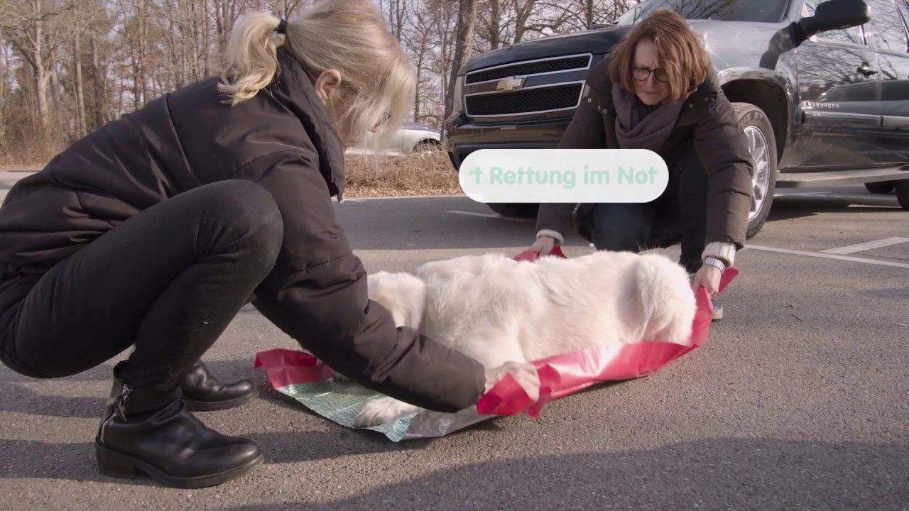 Knauder's Best Rettungsdecke 120 X 80 Cm Belastbar Bis 60 Kg 6 Knauder's Best Rettungsdecke 120 X 80 Cm Belastbar Bis 60 Kg – Bild 4