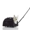 PetEgo Jet Set Rolling Set 1 PetEgo Jet Set Rolling Set -Katzen- Und Hundetagebuch P1002 2