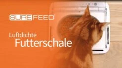 SureFeed Futterschale Luftdicht Grau Gsamtgrösse: 23.5 X 21 X 7.3 Cm Masse Schale: 10.5 X 16 X 3 Cm, 400ml -Katzen- Und Hundetagebuch P4vgdVZ4Pjw maxresdefault