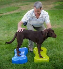 K9FITbone Grün 58.5 X 29 X 10 Cm -Katzen- Und Hundetagebuch PC3032 2 3