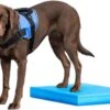 FitPAWS Balance Pad Balancematratze 38 X 46.5 X 5 Cm 1 FitPAWS Balance Pad Balancematratze 38 X 46.5 X 5 Cm -Katzen- Und Hundetagebuch PT3003 2