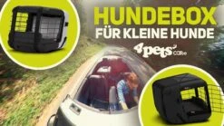 4pets Transportbox Caree Cool Grey -Katzen- Und Hundetagebuch W9gVy25aZdA 31864 maxresdefault