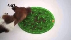 Antischling Futternapf Grün 40 X 30 X 10 Cm -Katzen- Und Hundetagebuch YAwxdjpGlY maxresdefault