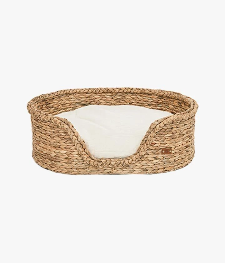 PET & Co. Goofy Nature 3 PET & Co. Goofy Nature