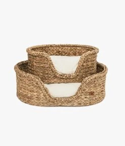 PET & Co. Goofy Nature 5 PET & Co. Goofy Nature -Katzen- Und Hundetagebuch dogcatsar001s 5