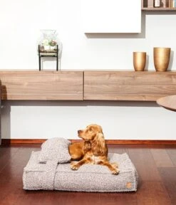 PET & Co. Cordi Boucle L Grau -Katzen- Und Hundetagebuch dogyecblg 2