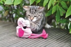 Aumüller Spielkissen Flamingo Pinky 14 X 4 Cm -Katzen- Und Hundetagebuch f123 3