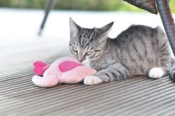 Aumüller Spielkissen Flamingo Pinky 14 X 4 Cm -Katzen- Und Hundetagebuch f123 4