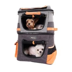 Ibiyaya Transportrucksack Two Tier Orange -Katzen- Und Hundetagebuch fc1980 19