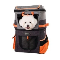 Ibiyaya Transportrucksack Two Tier Orange -Katzen- Und Hundetagebuch fc1980 21