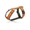 Anny-X Geschirr Fun Oliv-orange 2 Anny-X Geschirr Fun Oliv-orange -Katzen- Und Hundetagebuch gf 008 1