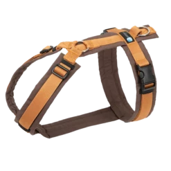 Anny-X Geschirr Fun Braun-bernstein