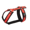 Anny-X Geschirr Fun Rot-schwarz -Katzen- Und Hundetagebuch gf 206 44187 1
