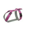 Anny-X Geschirr Fun Grau-pink L -Katzen- Und Hundetagebuch gf 246 neu 42546 1