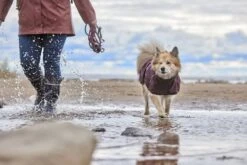 Hurtta Mudventure ECO Regenjacke Aubergine -Katzen- Und Hundetagebuch hurttamudventurecoateco eggplant aw23 55