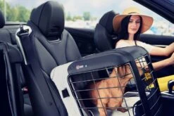 4pets Transportbox Caree Cool Grey -Katzen- Und Hundetagebuch k70511