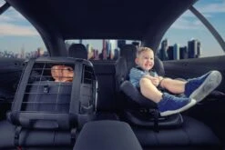 4pets Transportbox Caree Cool Grey -Katzen- Und Hundetagebuch k70511 3