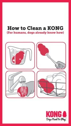 KONG Classic Rot -Katzen- Und Hundetagebuch kong cleaning graphic