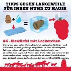 KONG Classic Rot -Katzen- Und Hundetagebuch kong freeze de