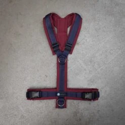 Anny-X Geschirr LE Fun Bordeaux / Blau XXS, Hals 14 - 22 Cm / Brust 36 - 42 Cm