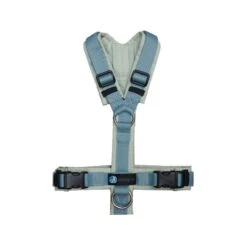 Anny-X Geschirr Fun Salbei-taubenblau