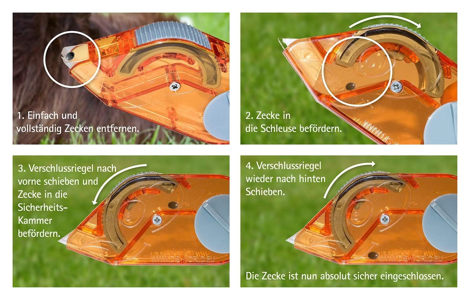 Zeckenmaus 5 Zeckenmaus – Bild 3