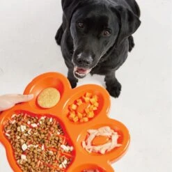 Pet Dream House PAW Slow Feeder Orange 36 X 30 X 3 Cm -Katzen- Und Hundetagebuch pdhf001.4