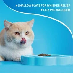 Pet Dream House PAW 2-IN-1 Mini Slow Feeder Blau 20 X 18 X 3 Cm 12 Pet Dream House PAW 2-IN-1 Mini Slow Feeder Blau 20 X 18 X 3 Cm -Katzen- Und Hundetagebuch pdhf013.4