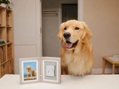 Tisch-Fotorahmen Grau Mit Abdruckmateria 30 X 19 X 3.5 Cm -Katzen- Und Hundetagebuch ph83033 l1