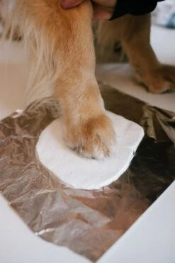 Tisch-Fotorahmen Grau Mit Abdruckmateria 30 X 19 X 3.5 Cm -Katzen- Und Hundetagebuch ph83033 l3