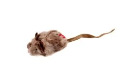 GiGwi Melody Chaser Maus 9 X 5 Cm -Katzen- Und Hundetagebuch q7000 4