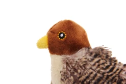 GiGwi Melody Chaser Vogel 11 X 6.5 X 8 Cm -Katzen- Und Hundetagebuch q7002 2