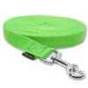 Mystique Schleppleine Nylon Grün 20 Mm / Mit Schlaufe -Katzen- Und Hundetagebuch st20 601sg