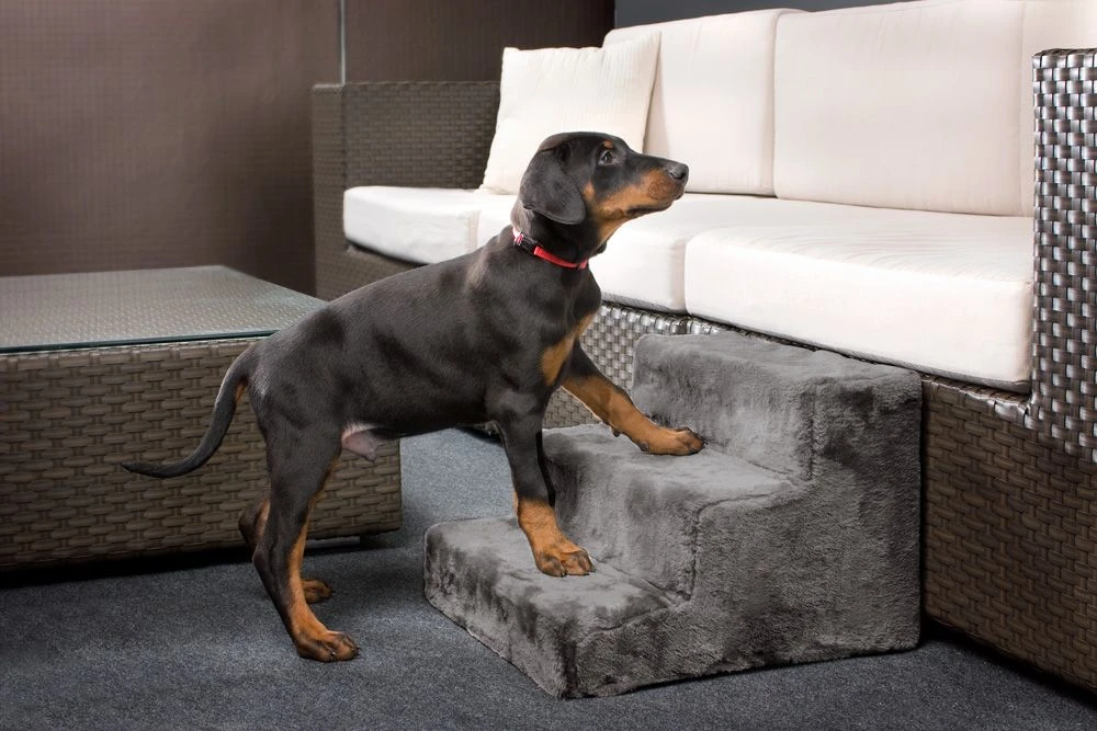 Karlie Easy Step Hundetreppe Grau 6 Karlie Easy Step Hundetreppe Grau – Bild 4