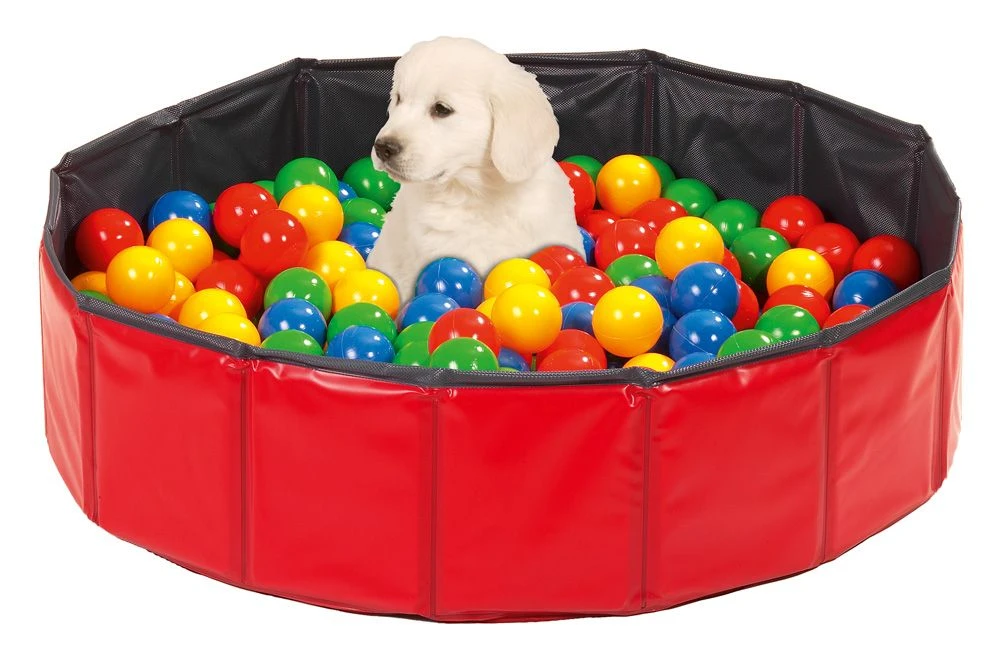 Bälle Welpenprägung Assortiert Ø 6 Cm, 250 Stück 4 Bälle Welpenprägung Assortiert Ø 6 Cm, 250 Stück – Bild 2